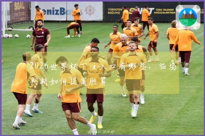2026世界杯下注入口有哪些，临场判断如何提高胜算