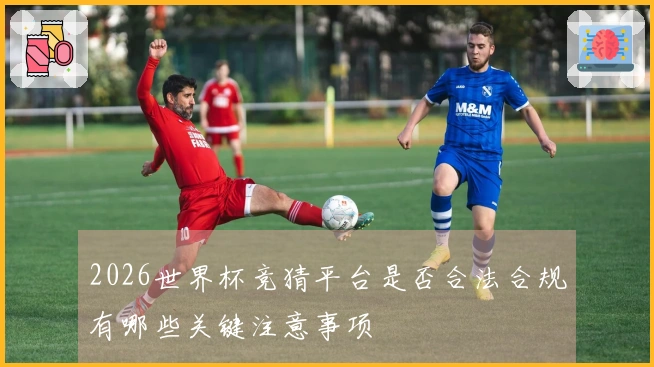 2026世界杯竞猜平台是否合法合规有哪些关键注意事项