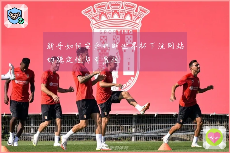 新手如何安全判断世界杯下注网站的稳定性与可靠性