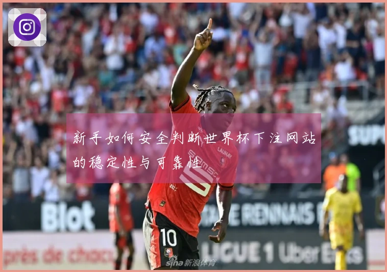 新手如何安全判断世界杯下注网站的稳定性与可靠性