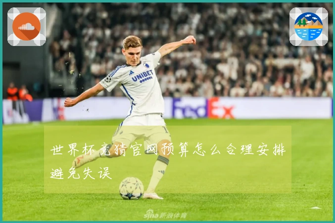 世界杯竞猜官网预算怎么合理安排避免失误