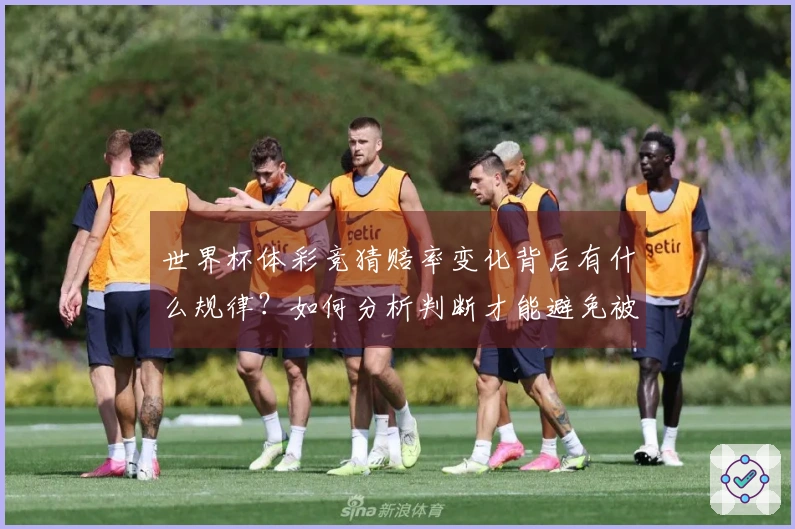 世界杯体彩竞猜赔率变化背后有什么规律？如何分析判断才能避免被坑