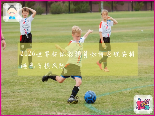 2026世界杯体彩预算如何合理安排避免亏损风险