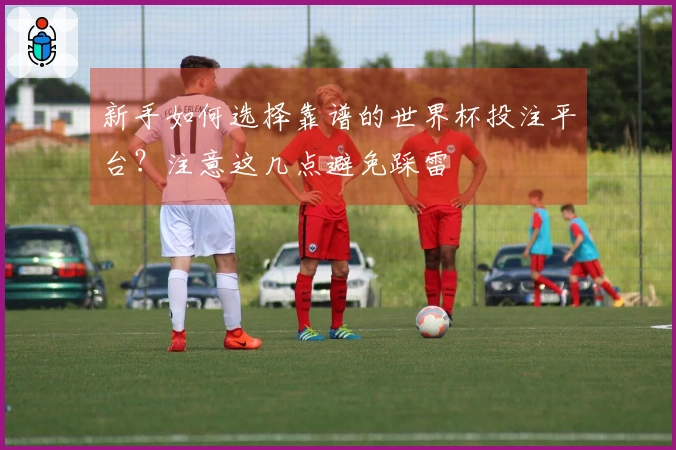 新手如何选择靠谱的世界杯投注平台？注意这几点避免踩雷